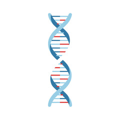 DNA double helix for genetic analysis