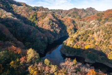 茨城県常陸太田市　紅葉の竜神大吊り橋
