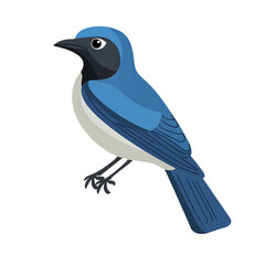 Obraz premium A detailed illustration of a vibrant blue scrub jay with black markings on its face and chest perched elegantly isolated on transparent background