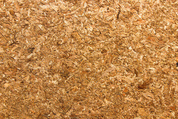 Close up of the surface of the dry coconut coir block for planting media. Top view