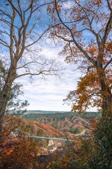 茨城県常陸太田市　紅葉の竜神大吊り橋
