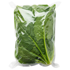 Fresh raw spinach leaves packaged in a clear vacuum sealed plastic bag on transparent background