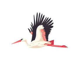 Obraz premium Elegant white stork in flight with extended wings and legs isolated on transparent background