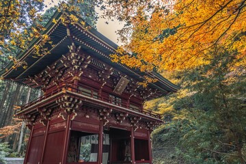 茨城県日立市　紅葉の御岩神社
