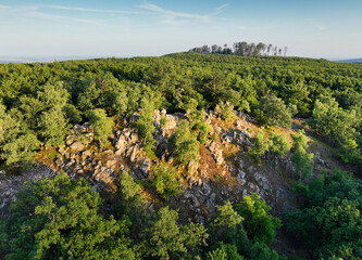 Mountain forest panorama at sunset, green landscape