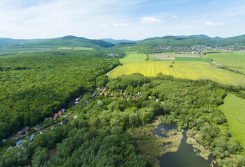 Aerial view of meadows with rows of trees, Budmerice, Slovakia