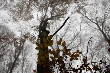 Region Teutoburger Wald