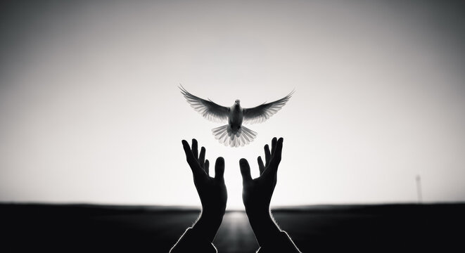 A monochrome silhouette captures the emotional release of a dove, hands raised in an act of liberation and hope against a bright sky, emphasizing the values of freedom and peace.