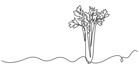 Single continuous line drawing of bunch healthy organic green celery for farm logo identity. Fresh marshland plant concept for vegetable icon, Celery sticks, stalks, green leaf vector sketch minimal. © line drawing
