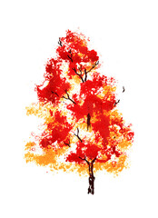 Autumnal tree fine art print, photolithograph on three separate plates 
