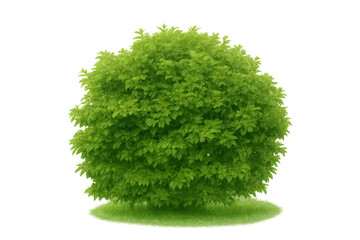 Fototapeta premium Lush green bush with vibrant fresh leaves on a small grass patch, isolated on transparent background, garden element