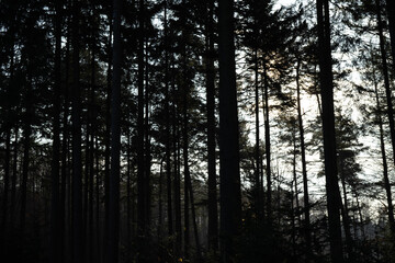 Region Teutoburger Wald