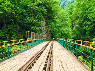 Scenic train bridge surrounded by lush green forest during daylight in a mountainous region