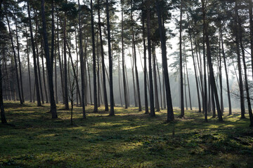 Region Teutoburger Wald