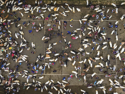 Aerial view of the bustling Kaligesing goat market unfolds with people and goats gathered in the yard, creating a dynamic mix of movement and life, Purworejo Regency, Central Java, Indonesia.