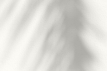 Soft palm leaf shadows cast on a light neutral background. Color of the Year 2026, Cloud Dancer