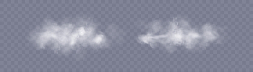 Fototapeta premium A realistic white smoke effect with soft transparency and smooth dispersion on a transparent background. Ideal for atmospheric compositions, weather designs, and steam-based image elements. 