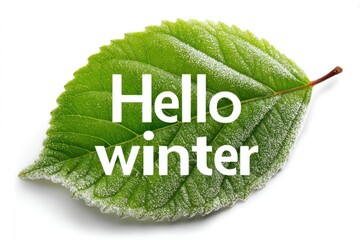 Hello winter frosted leaf design with natural veins as lettering for seasonal greeting on white background