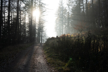 Region Teutoburger Wald