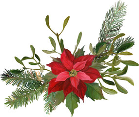 Naklejka premium Floral Christmas composition with poinsettia flower