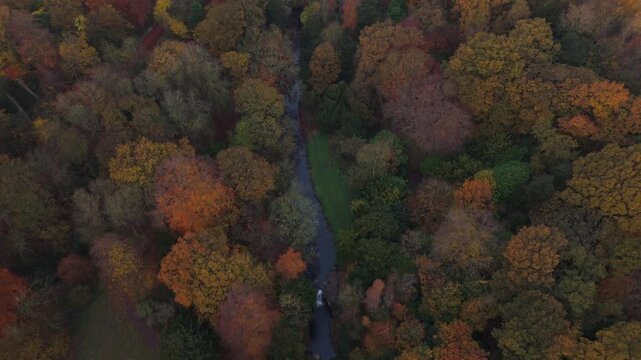 Newcastle upon Tyne: 9th Nov 2025: Jesmond Dene during Autumn at dawn. The scene captures dawn light shining through, with Ouseburn and waterfall drone view
