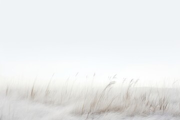 Obraz premium Serene winter field with grass