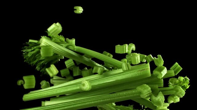Fresh celery soars up on a black background. Filmed on a high-speed camera at 1000 fps. High quality FullHD footage