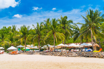 luxury tropical resort with sun beds and umbrellas under palm trees on the beach by the sea in summer. Landscape with a view of the exotic shore coast by the ocean in Thailand. Tropical island beach