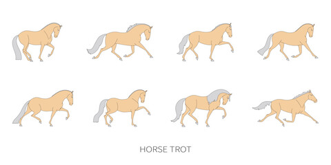 Set of vector illustrations showing horse trotting in different motion phases on white background