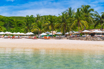 sun umbrellas beds on sandy beach under palm trees at a luxury resort in summer. Beach by sea on a tropical exotic island in Asia. Tourist holidays and travel