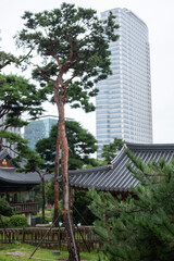 Building in Bongeunsa Temple, a Buddhist temple in Seoul, South Korea in the rain