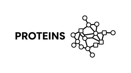 Protein Molecular Structure: Minimalist Vectors for Biochemistry and Biology