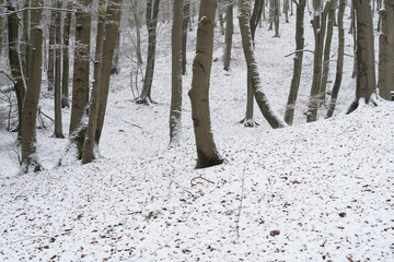Region Teutoburger Wald