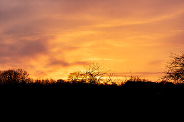 Stunning Orange Sky at Dusk with Silhouettes of Forest and Bare Branches