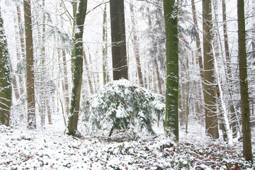 Region Teutoburger Wald