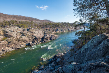 View of the powerful river rushing through the rocky gorge, framed by trees against a clear blue sky, Great Falls National Park, Virginia, United States.