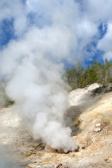 Jet of steam emerging from a fumarole at the Beryl Spring in Yellowstone National Park. No people.