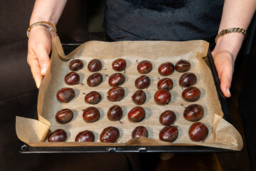Chestnuts, prepared for baking, scored on top, on a baking sheet. A taste of fall and winter.