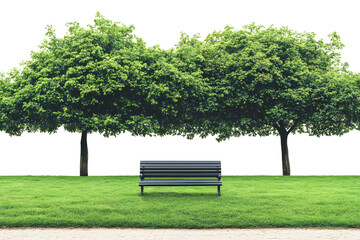 Empty Park Bench under Green Trees on Fresh Lawn