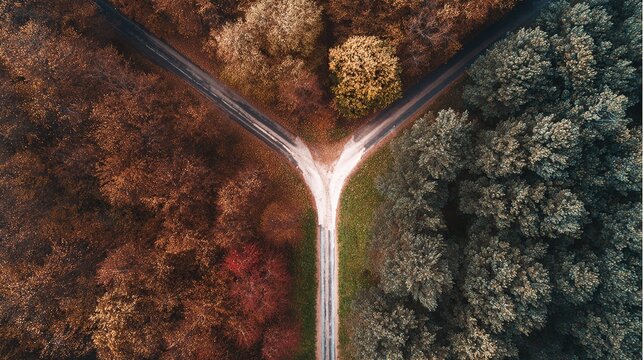 pivotal. Aerial view of a forked path in an autumn forest, representing pivotal life choices. representing seasonal cycles and harvest abundance.