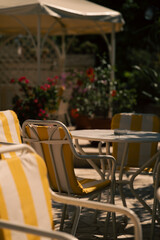 bright patio with chairs, sundrenched veranda with floral decor and cozy seating arrangement
