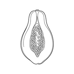 A simple, clean line art illustration of a papaya cut in half, revealing its seeds and flesh.