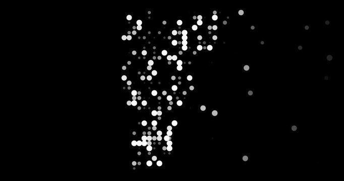 Generating the Map of Vermont with Falling Digital Circles