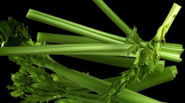 Fresh celery soars up on a black background. Filmed on a high-speed camera at 1000 fps. High quality FullHD footage