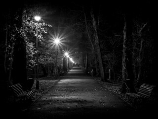 Black and white image in Central Park seen at night  in Targu-Jiu, Romania