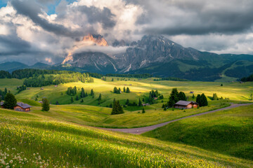 Fototapeta premium Green alpine meadows with flowers and wooden houses in Alpe di Siusi with mountains partially covered by clouds during summer sunset. Dramatic landscape with rocks, green hills in Dolomites, Italy