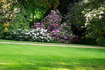 Region Teutoburger Wald