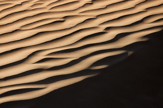 View of undulating sand dunes, painted in warm hues and stark shadows, carve a mesmerizing pattern across the desert landscape, Rub' al-Khali, United Arab Emirates.
