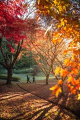 茨城県水戸市　紅葉の偕楽園もみじ谷
