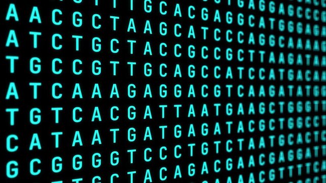 Gene code - background loop